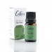 OLEO ESSENCIAL TEA TREE 10ML